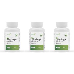 Moringe oleifera