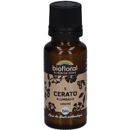Cerato - Plumbago - Bio