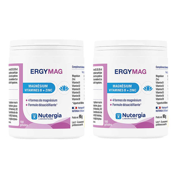 Ergymag Magnésium Cure de 6 mois Lot 2 x 3 mois