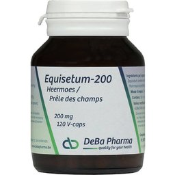 Deba Equisetum-200