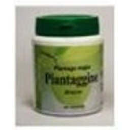 Plantain 60Cps