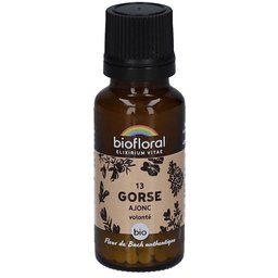 Biofloral 13 Gorse - Ajonc