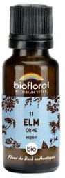 Granules 11 Elm - Orme Bio 19,5 g - Flacon 19,5 g
