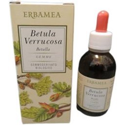Sève de Bouleau Verruqueux 50ml
