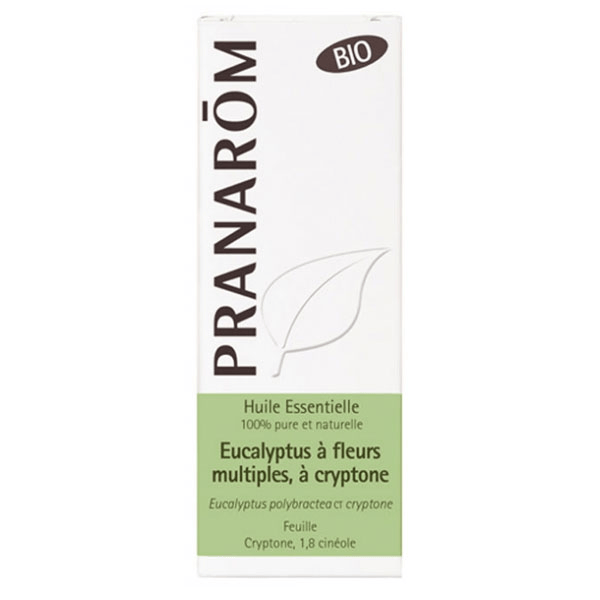 Huile Essentielle Bio Eucalyptus à Cryptone 10ml