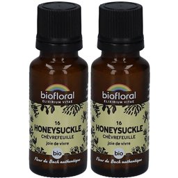 Honeysuckle - Chèvrefeuille - Bio