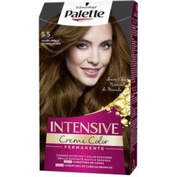 Palette Colour Intensive 5.5 Luminous Chestnut 1pc