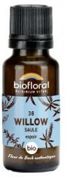 38 Willow Saule Bio 19,5 g - Flacon 19,5 g
