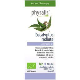 Eucalyptus radiata huile essentielle Bio 10ml