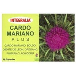 Extrait Cardo Mariano Venagano 60 Gélules