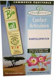 Ampoules de plantes Harpagophytum