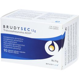 BrudyLab BrudySec
