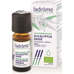 Huile essentielle Eucalyptus radié Bio