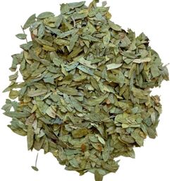 Tisane Séné Feuille Cassia angustifolia.