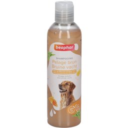 Shampooing Chien Pelage Brun