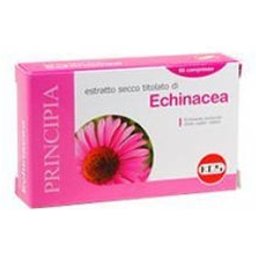 EXTRAIT SEC D'ÉCHINACÉE 60CPR