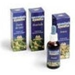 Propolis 50ml