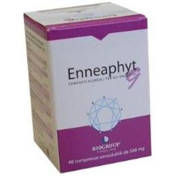 Biogroupe Enneaphyt*9 40 Cpr Oros.300Mg