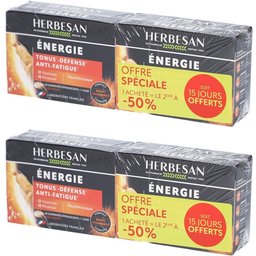 Herbesan Energie