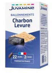 Charbon Levure 45 Unités - Pot 45 gélules