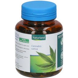 Cannabis Sativa