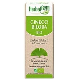 Macératsmères Concentrés Ginkgo Biloba 30ml