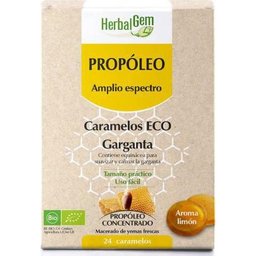Propolis à large spectre 24 Bonbons