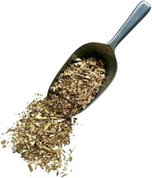 Tisane Fenouil RACINE 250 GRS Foeniculum dulce.