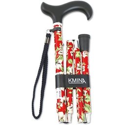 Canne Pliante Pro Fleurs Rouge 1ut