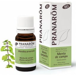 Pranarôm Bio Huile Essentielle Menthe des Champs 10 ml