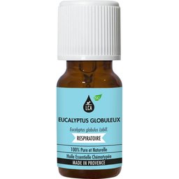 Huile Essentielle d'Eucalyptus Globuleux BIO 10ml
