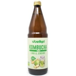 Kombucha Lime & Ginger Bio 330ml