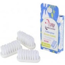 Tête De Rechange Brosse À Dents Medium x3