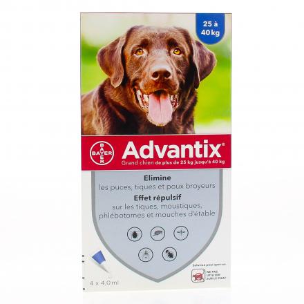 grand chien 25-40KG 4 pipettes