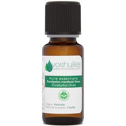 Huile Essentielle D'Eucalyptus Mentholé 10ml