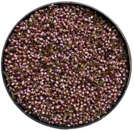 Tisane Bruyère fleur mondée 1 KILO ENTIERE Calluna vulgaris.