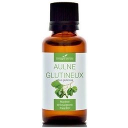 Aulne Glutineux Macérat De Bourgeons Bio 30ml