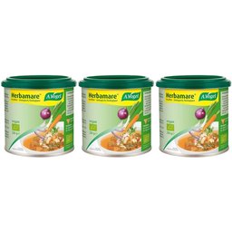 A.Vogel Herbamare Base de bouillon