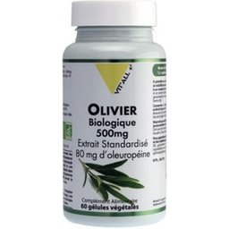 Olivier Bio Extrait Standardisé 500mg 60 Gélules