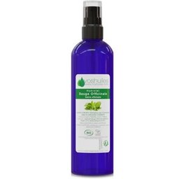 Hydrolat de Sauge Officinale Cosmos 100 ml