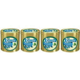 Gommes Menthe Eucalyptus Adoucit La Gorge 140g