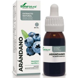 Extracto Arandano Xxi 50ml *