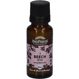Beech - Hêtre - Bio