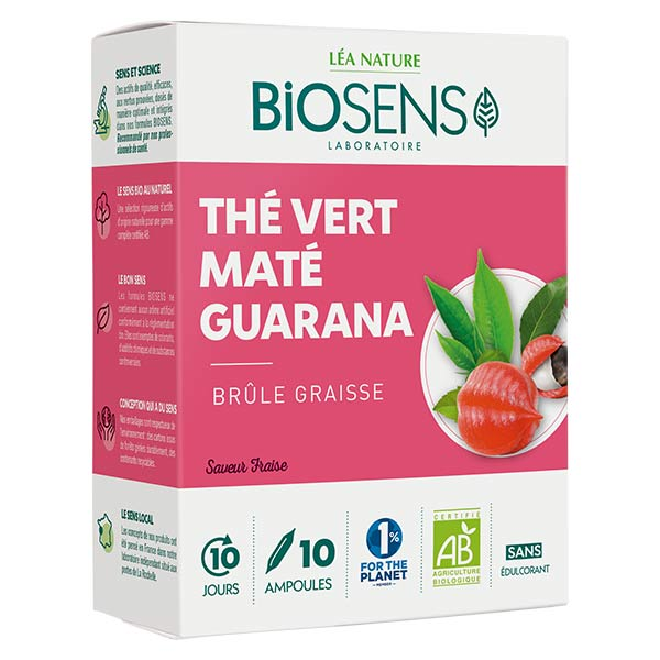 Thé Vert Maté Guarana Bio 10 ampoules