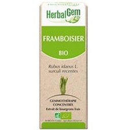 Macérat Concentré de Framboisier Bio 30ml