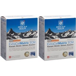 Extra Cell Matrix ECM Cartilage Orange