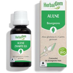 - Aulne Bio - Complément Alimentaire  - Extrait De Bourgeon Frais - Pour Défenses Naturelles & Circulation -  - 30 ml