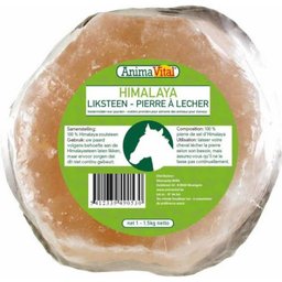 AnimaVital® Himalaya Pierre à lécher