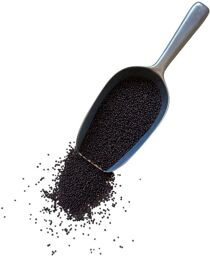Tisane Moutarde noire 1 KILO graine ENTIERE.