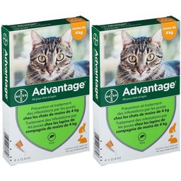 40 pour chat et lapin